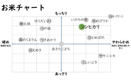 【令和7年産米】コシヒカリ 白米 10kg（5kg×2袋） 新潟米 [Y0527]