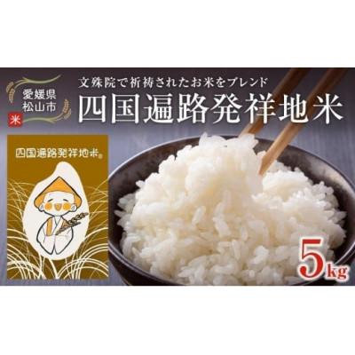 ふるさと納税 松山市 【先行予約】四国遍路発祥地米 愛媛の美味しいお米「 ひめの凜」(5kg)
