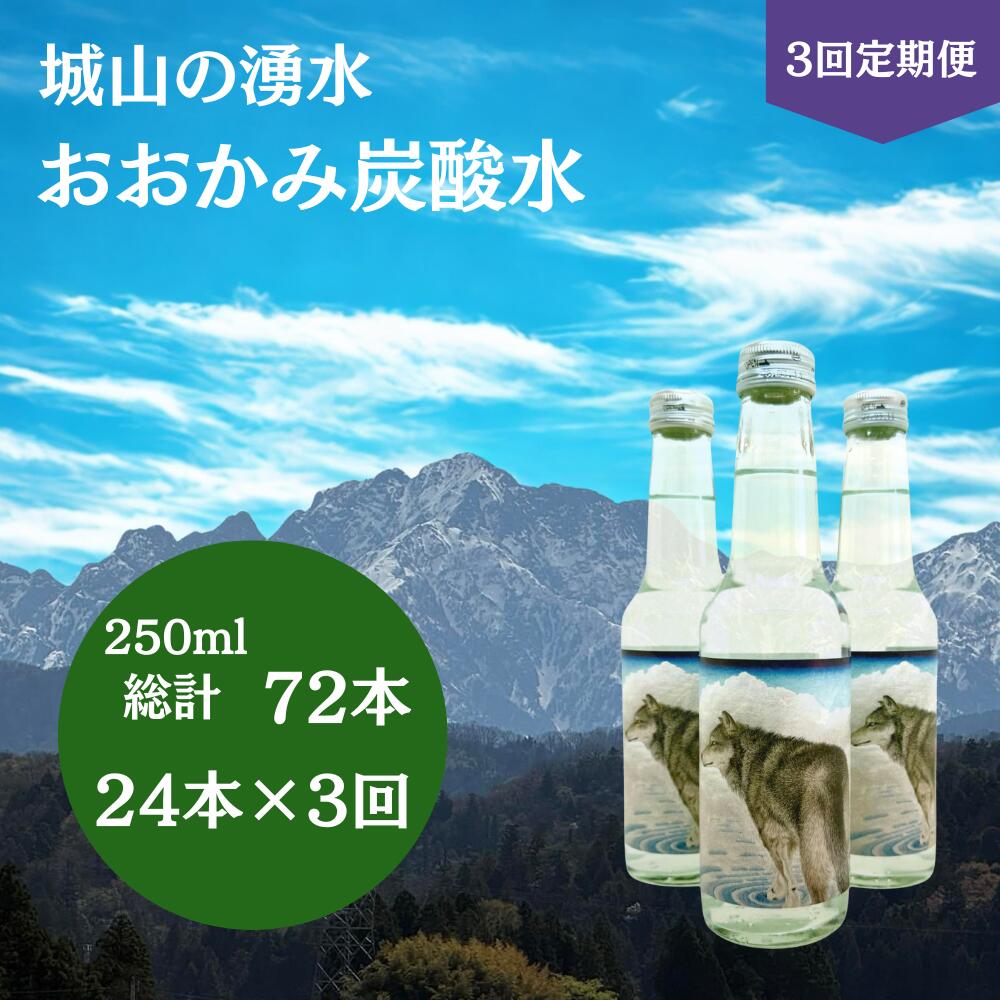 【ふるさと納税】【3回定期便】おおかみ炭酸水 250ml×24本 総計72本 [城山の湧水 富山県 上市町 32280276-r6] 炭酸水 湧水 湧き水 スパークリングウォーター 軟水 長期保存