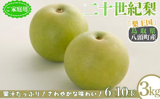 二十世紀梨(家庭用) 3kg「Y's Farm Tottori」【梨 なし ナシ 果物 フルーツ ギフト 先行予約 甘い 果実 果汁 デザート もぎたて 旬】
