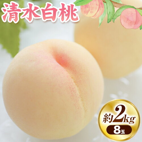 【ふるさと納税】清水白桃 8玉 令和7年産 先行予約 清水白桃 約2kg（8玉） 《2025年7月下旬-8月上旬頃出荷》 桃 清水白桃 白桃 晴れの国おかやま館 フルーツ 果物 果実 岡山県 笠岡市