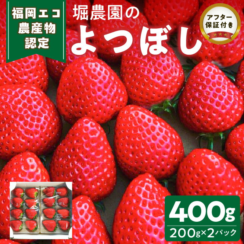 【ふるさと納税】エコ農産物認定 堀農園 よつぼし 200g × 2パック 計 400g 完熟 食べ頃 いちご チルド便 適度 食感 酸味 強くない 豊か 風味 広がる バランス 四つ星級 お取り寄せ 福岡県 久留米市 送料無料