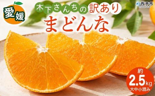 紅まどんなと同品種！＜木下さんちのまどんな 訳あり 約2.5kg＞『2026年12月に順次出荷』愛媛果試第28号 柑橘類 みかん ミカン 果物 くだもの フルーツ 不揃い 自宅用 愛媛果試第28号 特産品 産地直送 マドンナ 木下農園 西宇和 愛媛県 西予市【常温】
