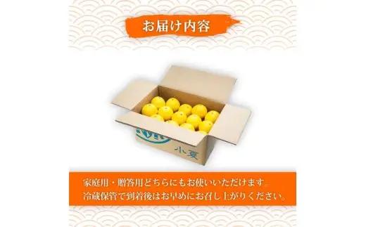 【2027年出荷分】 訳あり 熟成 露地小夏 5kg 5月中旬発送開始
