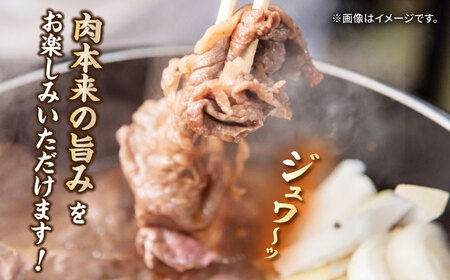 長崎和牛 切り落とし 600g（300g×2パック）《壱岐市》【長崎フードサービス】 肉 牛肉 赤身 小分け 国産 切落し 切り落し 冷凍配送 9000 9000円[JEP008]