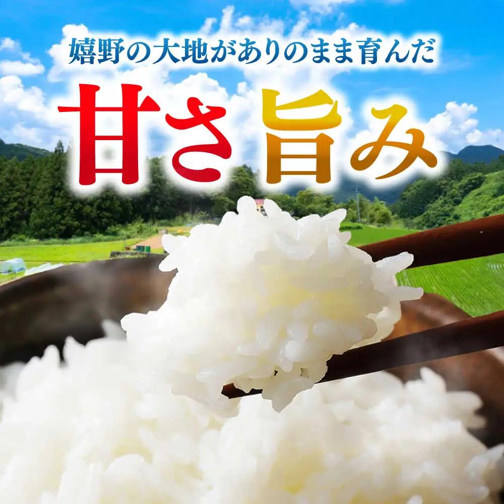 白米 夢しずく 10kg NCK004 白米