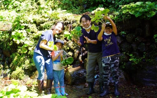 わさび体験ツアー利用券（2名分）