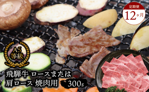 【１２ヶ月定期便】A5等級飛騨牛 ロースまたは肩ロース 焼肉用 300g 2025/9/19～
