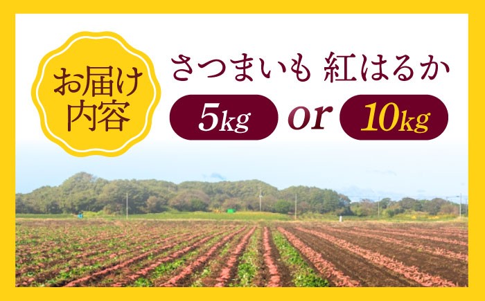 さつまいも ふるさと納税 5kg 紅はるか 国産 芋 定番 焼き芋 しっとり あまい 食材 野菜 料理  お取り寄せ スイーツ
