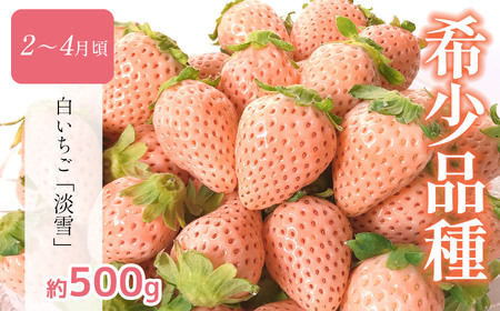 【定期便】熊本人気フルーツ [旬な季節に合計6回発送]