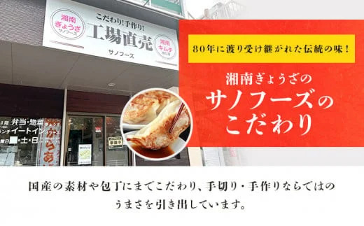 餃子 ぎょうざ 192個 (48個 × 4 パック) 肉汁たっぷり 大きい 国産 ブランド豚 ルイビ豚 小分け 豚肉 野菜 肉 湘南餃子 湘南ぎょうざ 焼き餃子 gyouza ギョーザ 冷凍餃子 生餃