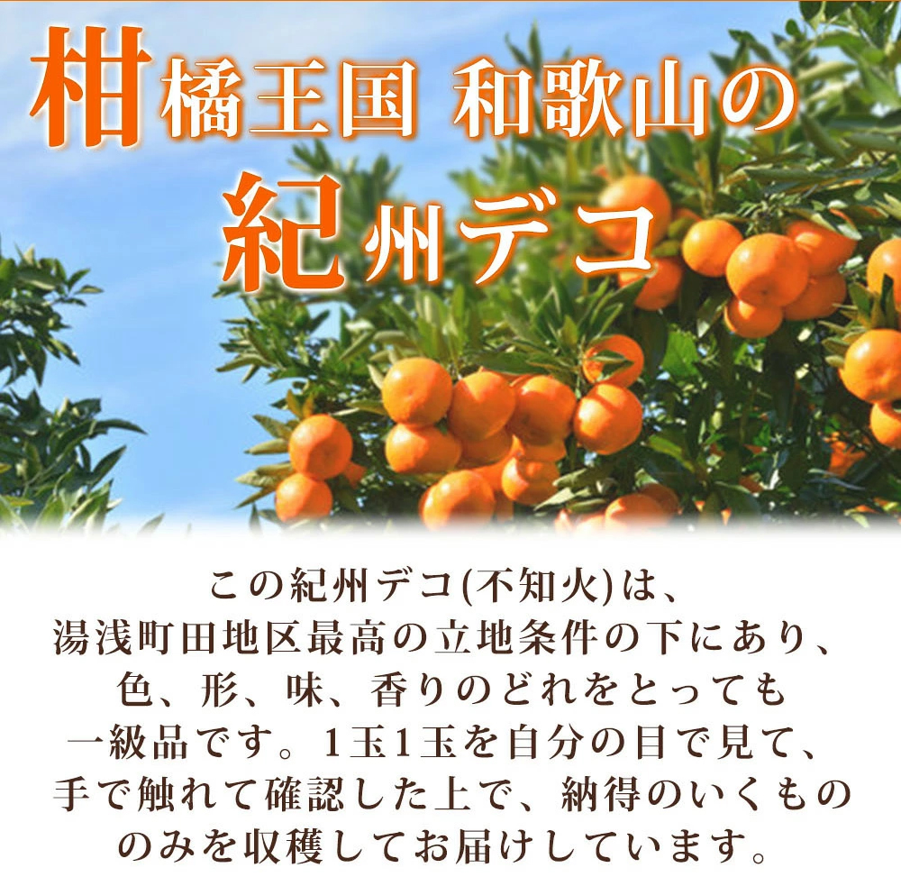 高級ブランド田村の完熟紀州デコ(不知火)約8kg＜2027年3月上旬～3月中旬頃順次発送＞【uot867】