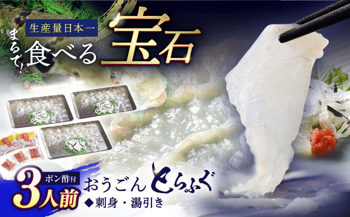 活〆おうごんとらふぐ刺身セット3人前【（有）松永水産】[KAB123]/ 長崎 平戸 魚介類 魚 刺身 とらふぐ ふぐ ポン酢 