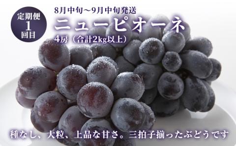 フルーツ 定期便 2024年 先行予約 晴れの国 おかやま の ニュー ピオーネ 4房（2kg以上） シャイン マスカット 4房（2kg以上） シャイン マスカット 4房（2.4kg以上） 岡山県産