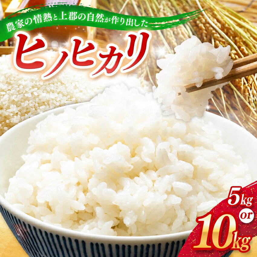 【ふるさと納税】 【選べる量】令和7年産 上郡町からのお米 ヒノヒカリ 5kg 10kg | お米 ヒノヒカリ 千種川 農家 炊きたて 万能 安心 安全 産地直送 おいしい グルメ こだわり 逸品 国産 兵庫県 上郡町