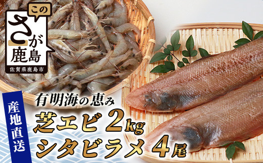 
冷凍芝エビ（真エビ）2kg（500g×4パック）＆有明海産 シタビラメ約150g×4尾【有明海の恵】簡単調理 セット D-177
