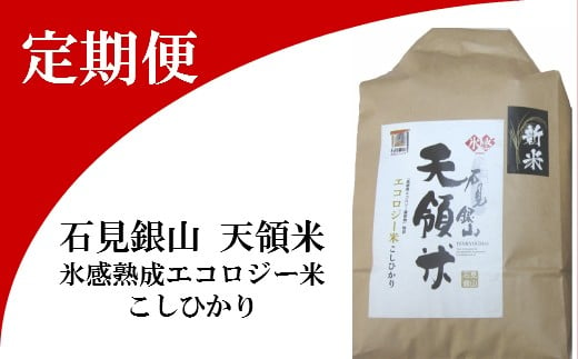 
石見銀山天領米定期便（5kg×2回お届け）【コシヒカリ 定期便 こしひかり 定期 2回 精米 5kg×2回 合計10kg 島根県産 大田市産 米 氷感熟成 エコロジー米】
