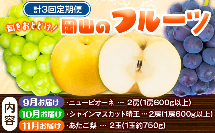 
            【2025年先行予約】定期便3回コース 岡山のフルーツ ニューピオーネ 2房 (1房600g以上) シャインマスカット 晴王 2房 (1房600g以上) あたご梨 2玉 (1玉約750g) 化粧箱入り 株式会社山博(中本青果) 《2025年9月上旬-11月下旬頃出荷》 岡山県 浅口市 送料無料 【配送不可地域あり】
          