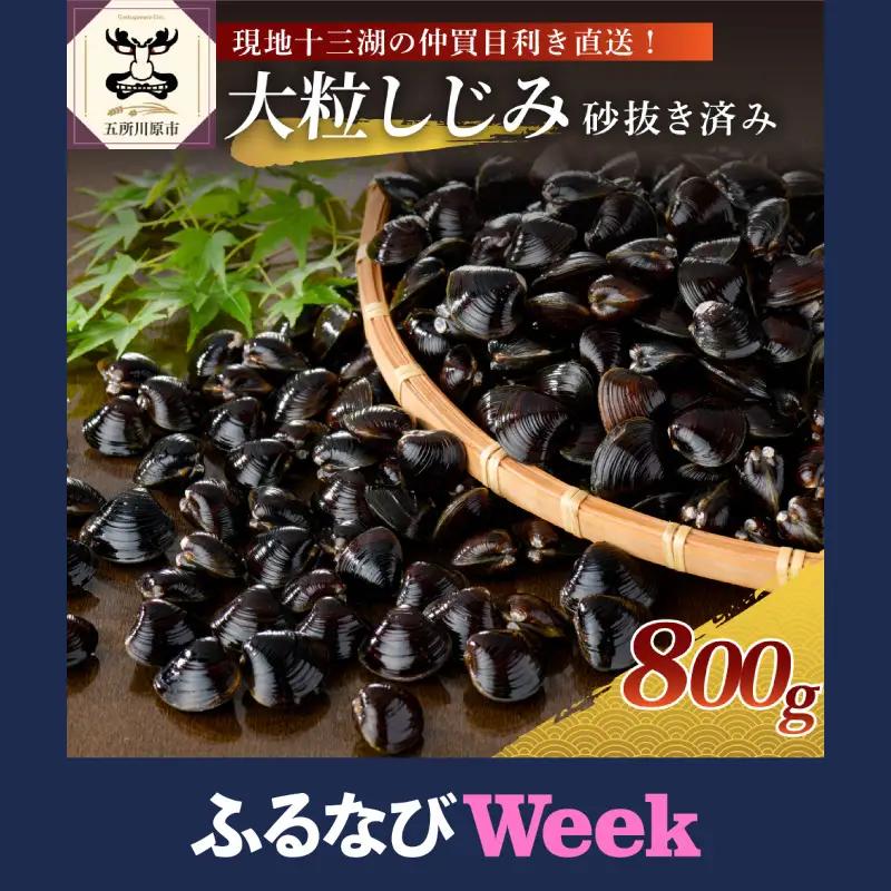 津軽十三湖産大和しじみ 大粒 800g （冷凍・砂抜き済） しじみ