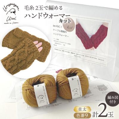 ふるさと納税 江南市 毛糸2玉で編めるケーブル模様のハンドウォーマーキット 9番色