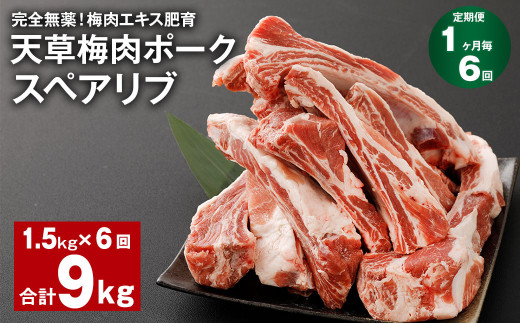 【1ヶ月毎6回定期便】完全無薬！梅肉エキス肥育 天草梅肉ポーク スペアリブ 計約9kg（1.5kg×6回） 豚肉 お肉