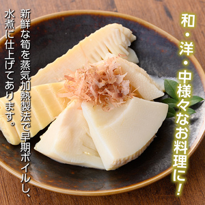 s666 ≪訳あり≫たけのこ水煮 切り落としタイプ(計約1.6kg・200g×8袋/3回定期便(隔月)) 鹿児島 国産 タケノコ 竹の子 水煮 野菜 切り落し パック 煮物 炊き込みご飯 常温保存 常