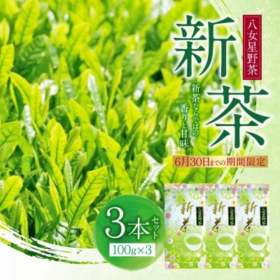 ふるさと納税 福智町 新茶 八女星野茶　100g×3本