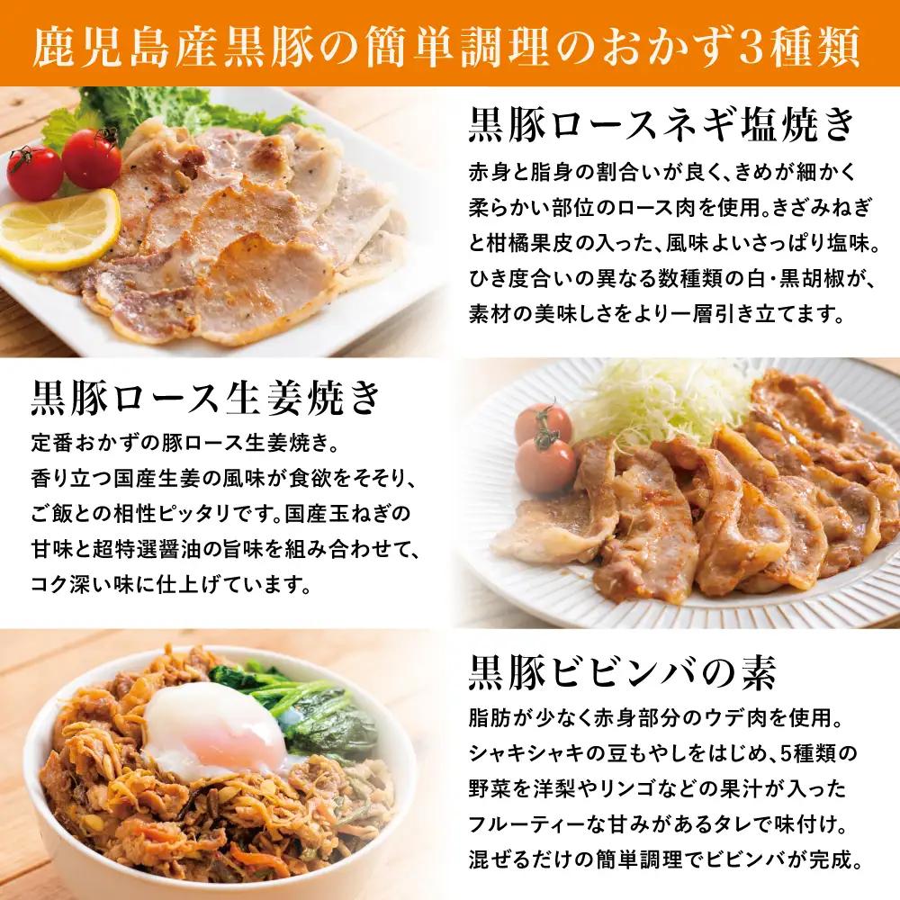 【鹿児島県産】味付け黒豚セット 3種類 計1kg（ネギ塩、生姜焼き、ビビンバ） 焼肉 総菜 おかず 簡単調理 お弁当 味付き ネギ塩 生姜焼き ビビンバ 小分け 冷凍 国産 黒豚 ロース  コワダヤ 