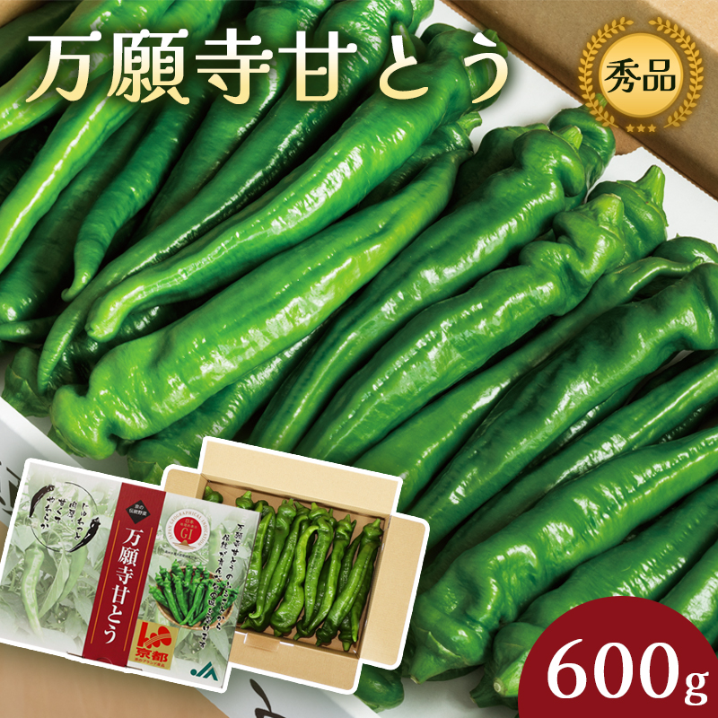 万願寺甘とう 秀品 600g 【 肉厚 ジューシー 辛くない 唯一の京野菜 国産 旬 季節の野菜 詰め合わせ 京のブランド産品 京野菜 万願寺 野菜 夏野菜 化粧箱 地場野菜 お土産 手土産 JA 京都 綾部 】