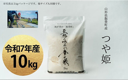 令和7年産 白米 精米 つや姫 10kg 「至福の味わい、 幸せ米。」  - 米 ごはん 銘柄 ブランド米 山形県 飯豊町
