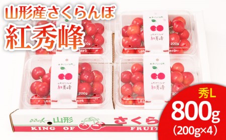 山形市産 さくらんぼ 紅秀峰 L 800g(200g×4) 【令和7年産先行予約】FU22-031 くだもの 果物 フルーツ 山形 山形県 山形市 2025年産