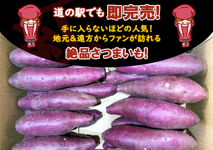 《先行予約》リピーター続出！さつまいも 紅あずま5kg 【神崎町・杉山農園から産地直送】2025年9月発送予定[019-a001]【千葉県神崎町ふるさと納税】 ([019-a001]