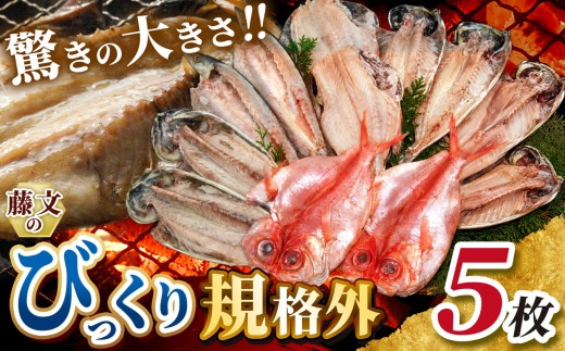 藤文の「びっくり規格外ミニ」あじ 鯵 真ほっけ 金目鯛 きんめ 鯖 さば 干物 ひもの 規格外 冷凍 西伊豆 伊豆 ギフト お歳暮 お中元