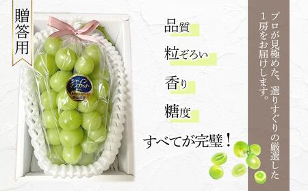 岡山県産 高級 シャインマスカット 700g以上 1房 贈答品＜2024年9月以降発送＞