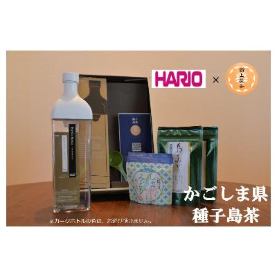 ふるさと納税 南種子町 鹿児島県種子島産　田上製茶の水出し煎茶セット