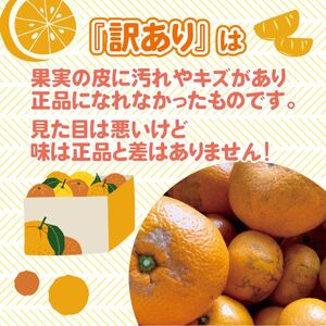 みかん【先行受付】【2026年1月末以降発送】濃厚な甘さが特徴！訳あり青島みかん ＜約5kg＞ 広島 三原 佐木島 鷺島みかんじま 017067