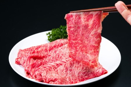 【3月末までに発送】近江牛すき焼き・しゃぶしゃぶ用肩ロース【500g】＋新食感！近江牛モチモチ牛とろハンバーグ（半製品）×3個【450ｇ（150ｇ×3個）】【AB65SM-3m】