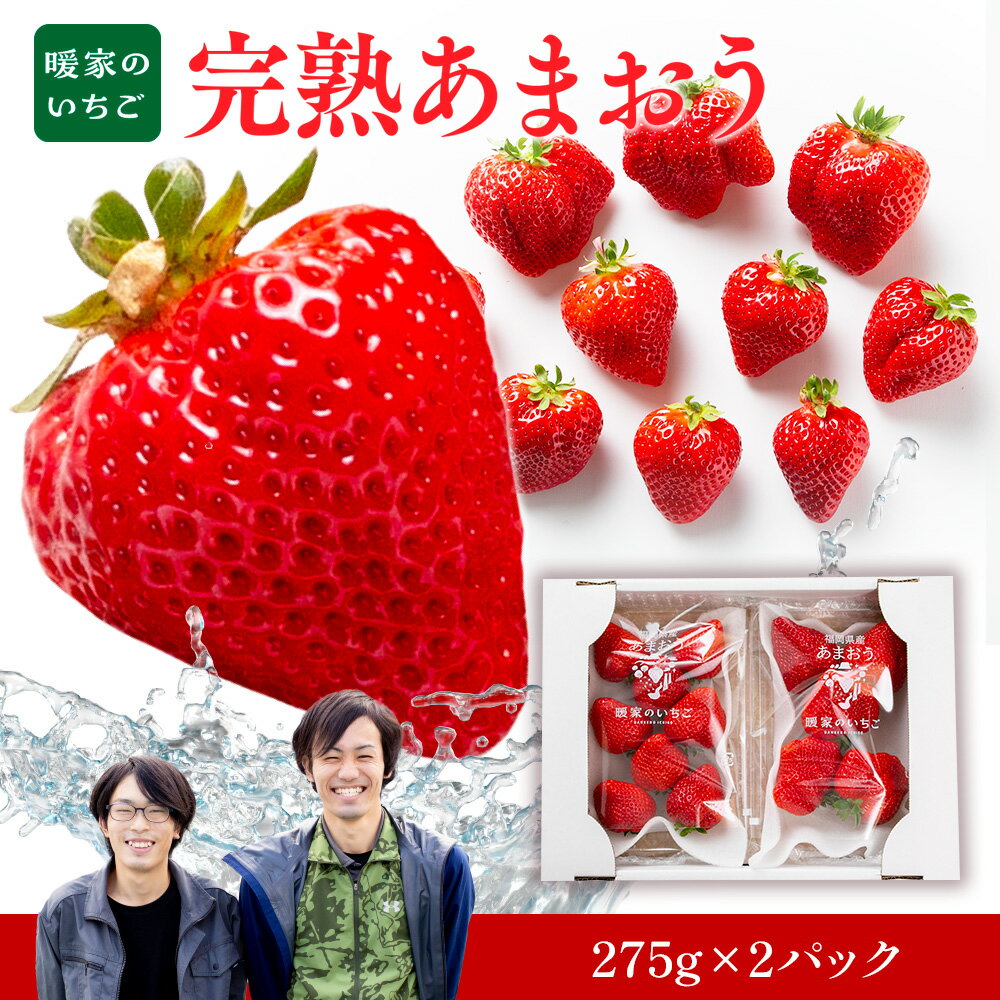 【ふるさと納税】 暖家のいちご 完熟あまおう 275g×2パック 2026年2月以降順次発送 送料無料 あまおう いちご 名産品 果物 AB005
