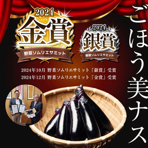 【定期便6回】野菜ソムリエサミット金賞「ごほう美ナス」 約1kg