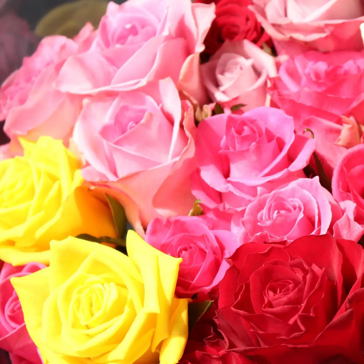 バラ 10本セット 花束 ブーケ 薔薇 ローズ 生花 フラワー 産地直送 贈り物 江田島市/タナカローズガーデン[XDC001]