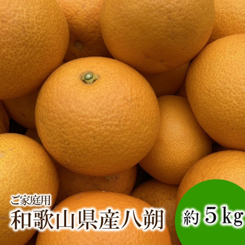 和歌山県産八朔約5kg（ご家庭用）