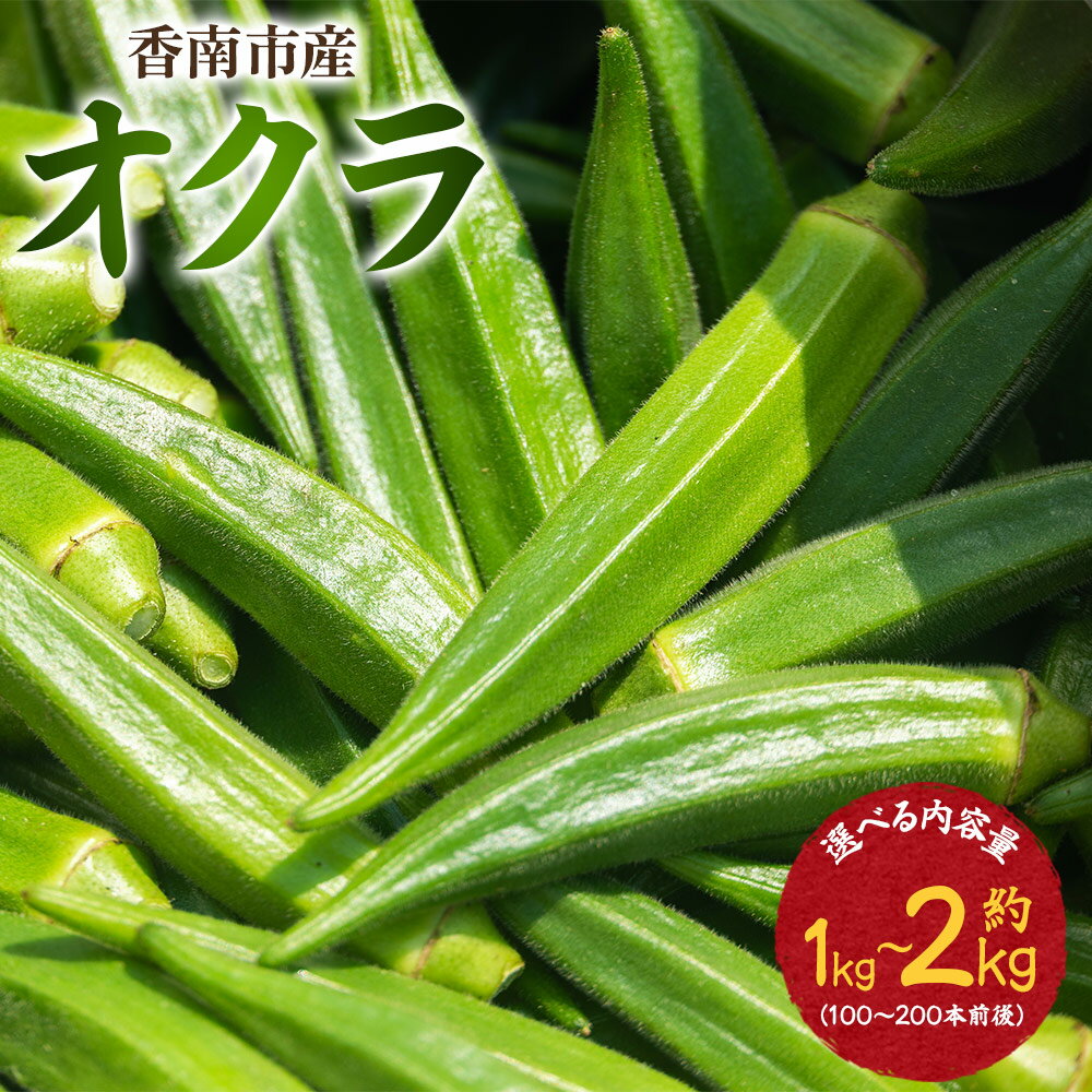 【ふるさと納税】【選べる内容量】オクラ 約1kg/1.5kg/2kg(100～200本前後) - おくら 野菜 やさい 新鮮 朝どれ 朝採れ 朝収穫 季節 旬 露地栽培 国産 香南市産 おきゃんぴー農園 高知県 香南市 冷蔵