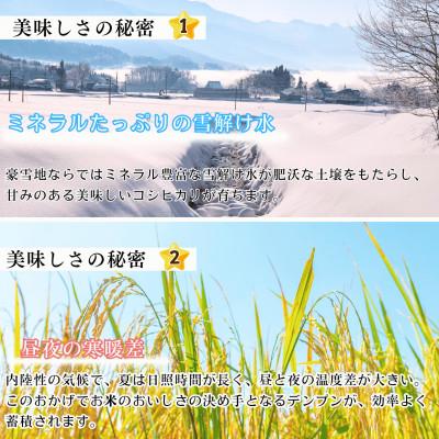 ふるさと納税 飯山市 【令和7年産 新米】奥信濃飯山 〜木内ファームのお米〜 コシヒカリ 白米 5kg |  | 01