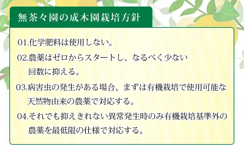 ＜無茶々園の清見ジュース 720ml 3本＞『1か月以内に順次出荷予定』柑橘 果物 オレンジ フルーツ ストレート 果汁100% 清見 きよみ キヨミ 丸ごと さわやかな酸味 やさしい甘み 飲んで応援