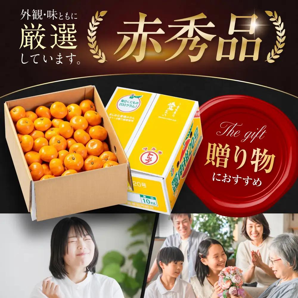 みかん 10kg（南柑20号）みかん[AGAO007]