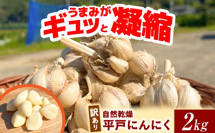 
                  【先行予約】【訳あり】平戸にんにく 約2kg 平戸にんにく 高知県産 乾燥 ガーリック 薬味 お取り寄せ 訳あり 先行予約 高知県 土佐市【株式会社 植田ファーム】[BQAT007]
                