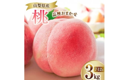 【2026年発送★先行予約】笛吹市産　厳選！桃［3kg］（7～12玉入）フルーツ大国！山梨県笛吹市より産地直送  209-002-26y  OUTTA REACH JAPAN