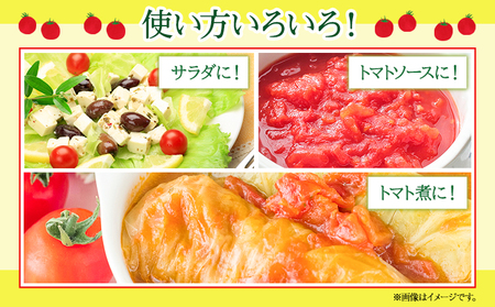 ぷりうまミニトマト 1.2kg (200g × 6袋) 破損保証約100g含む トマト ミニトマト 野菜 GTOファーム 熊本県 南阿蘇村《2026年7月上旬-10月末頃出荷》