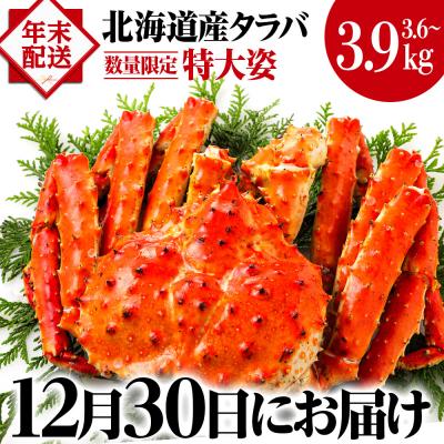 ふるさと納税 天塩町 ☆【12月30日着】タラバ姿【3.6〜3.9kg】北海道産