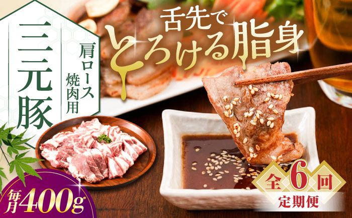 
            【全6回定期便】平田牧場 肩ロース 焼肉用 400g (200g×2P)《喜茂別町》【平田牧場】 肉 豚肉 ロース 焼肉 スライス 冷凍配送 定期便 北海道 平田牧場 三元豚 [AJAP149] 84000 84000円
          